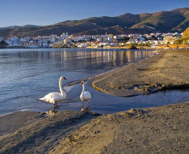 Ándros Πλατανακι 1 Family Friendlyヴィラ エクステリア 写真
