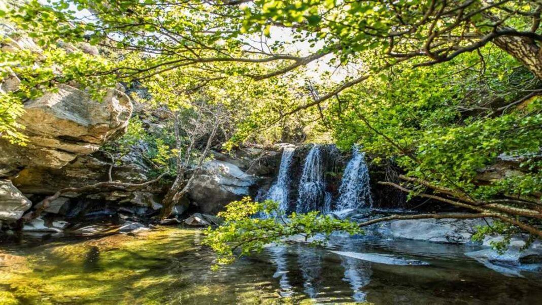 Ándros Πλατανακι 1 Family Friendlyヴィラ エクステリア 写真